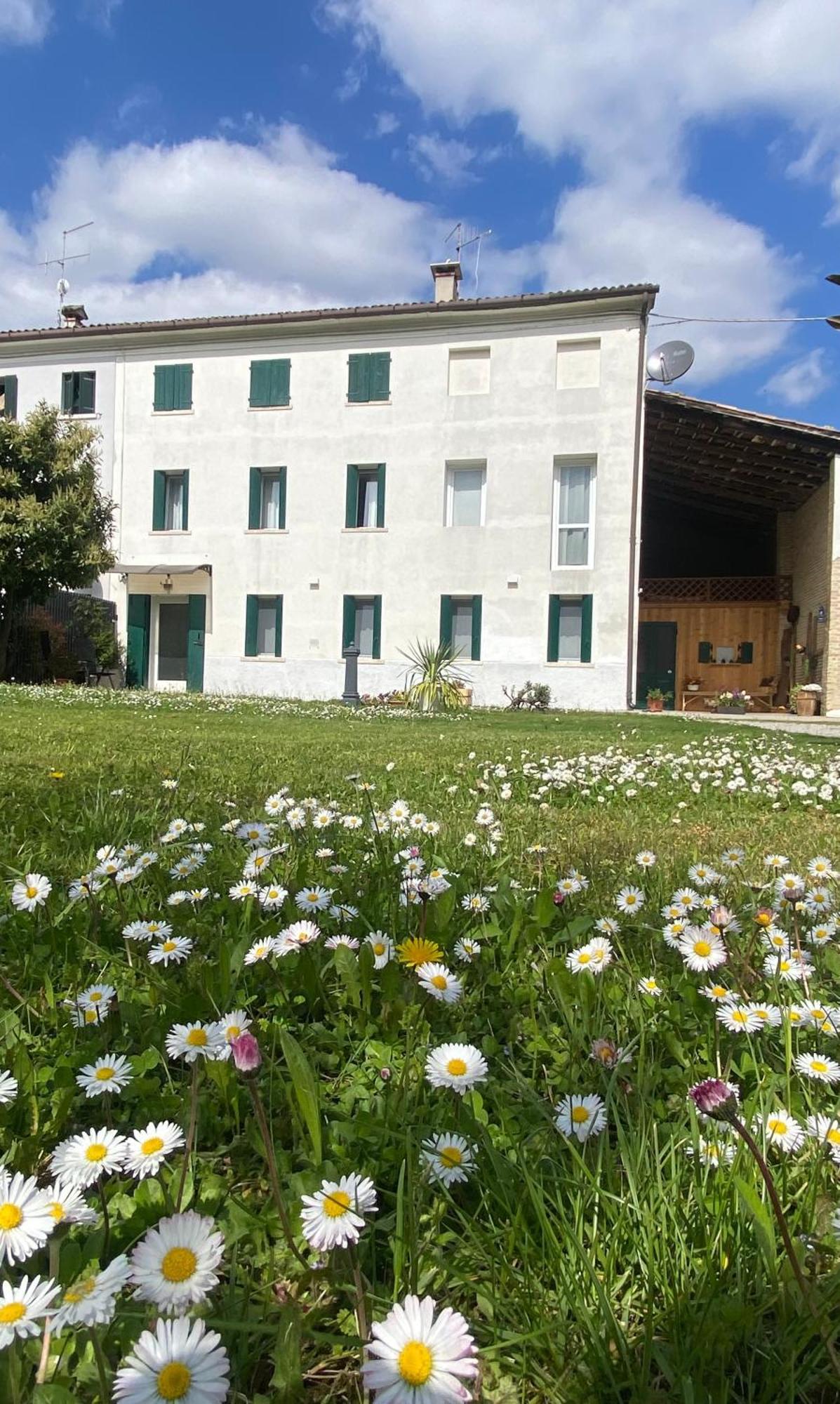 Magnolia 41 Apartment Possagno Exterior photo